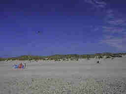 Strandleben Henne Strand / Daenemark. Hier hat jeder Spass und Platz genug